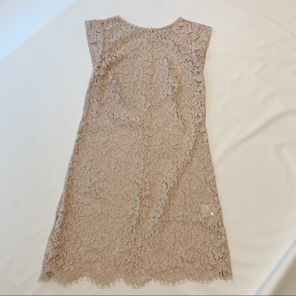 Lover the Label Blush Lace Dress 4 - Picture 6 of 12